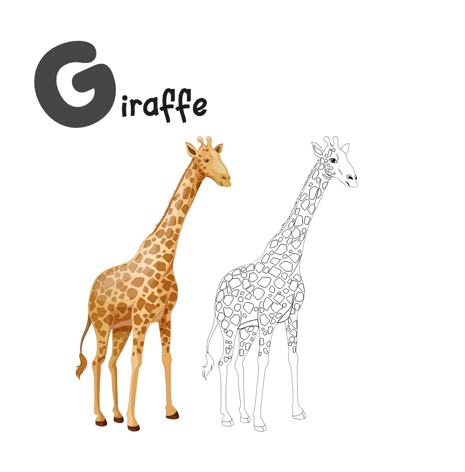 Alphabet Letter G Coloring Page coloring page