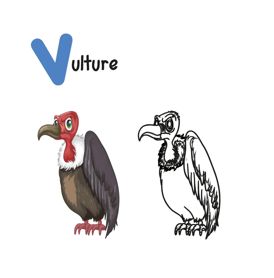 Alphabet Letter V Coloring Page coloring page