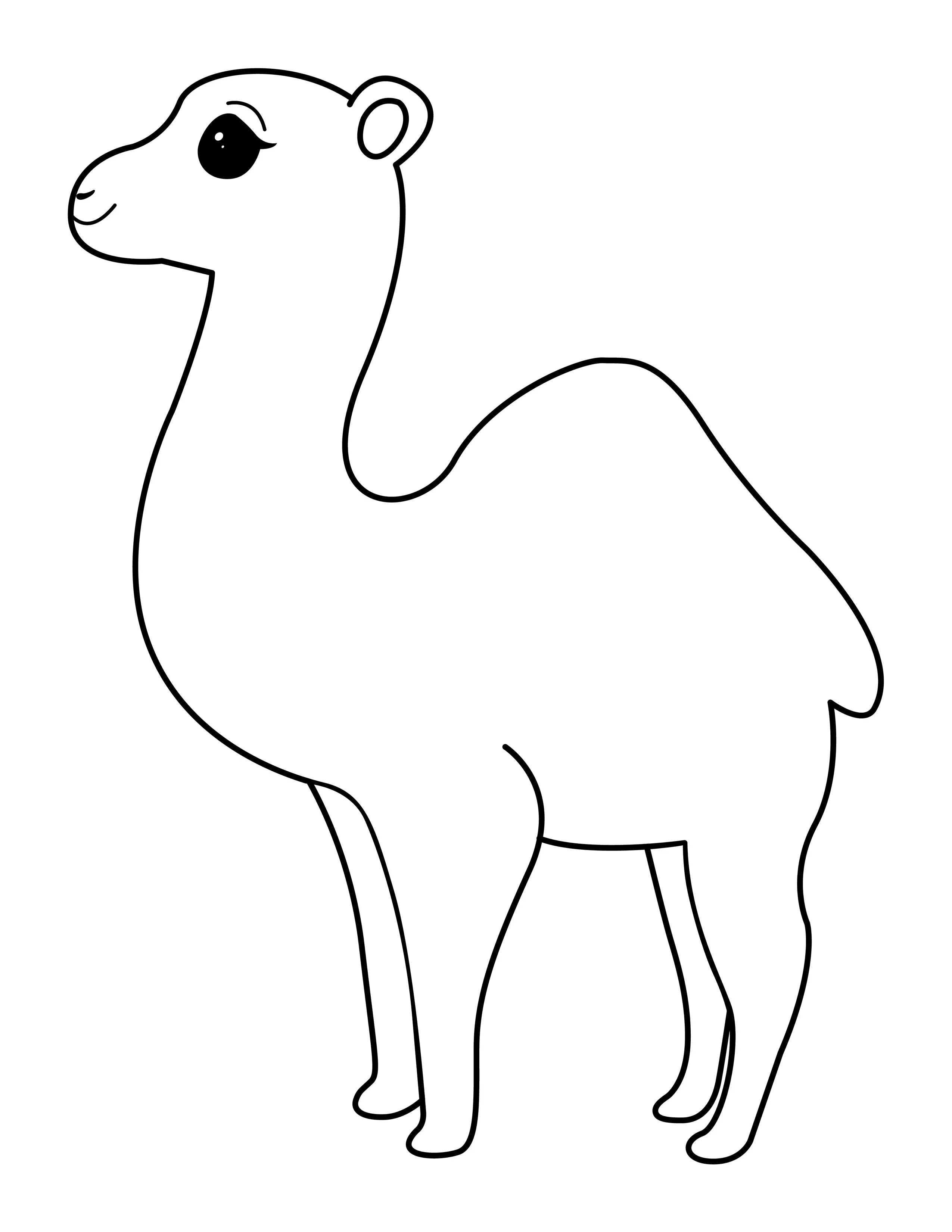 Camel printable