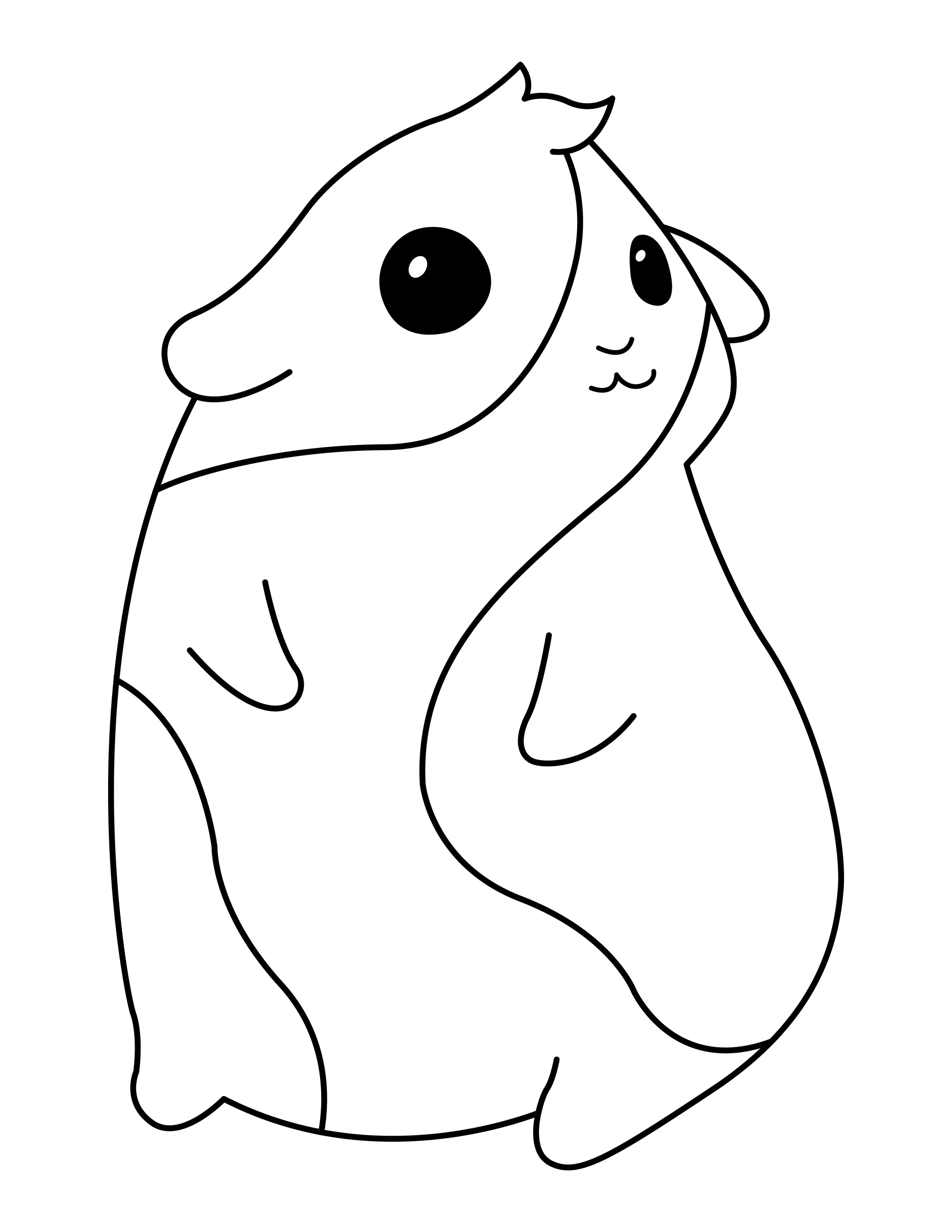 Guinea Pig printable