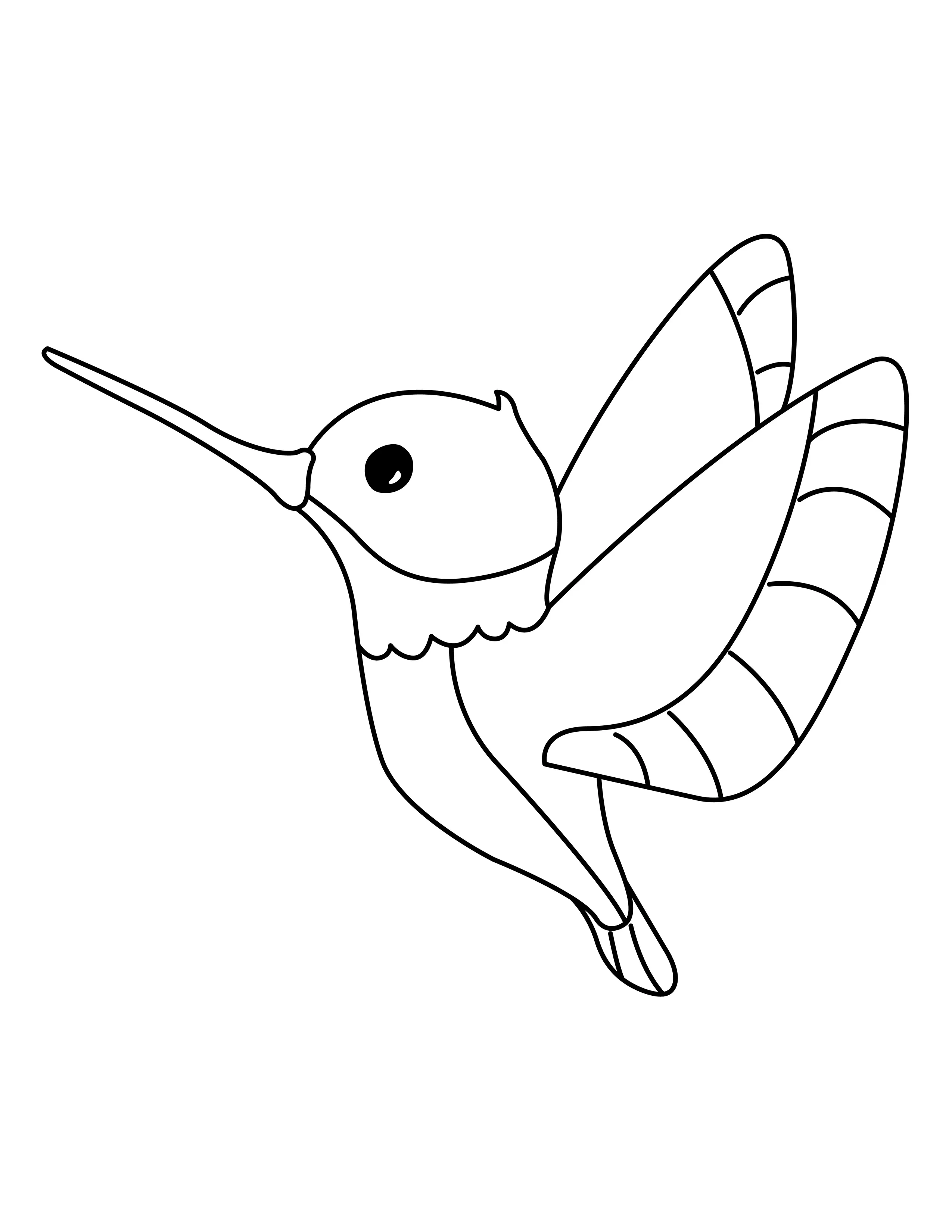 Hummingbird printable