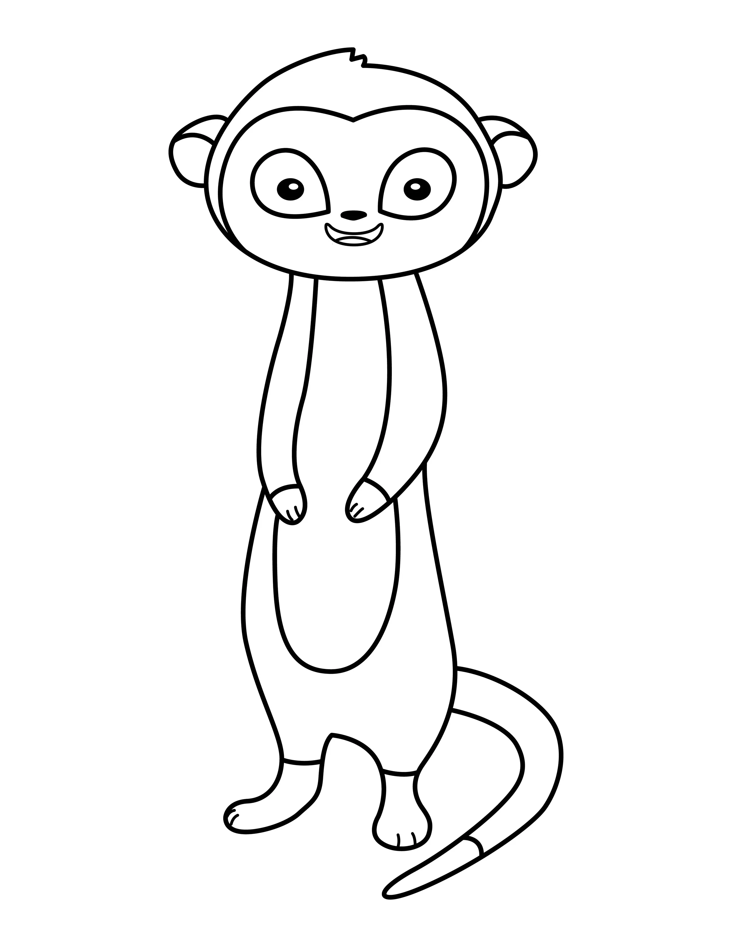 Meerkat printable