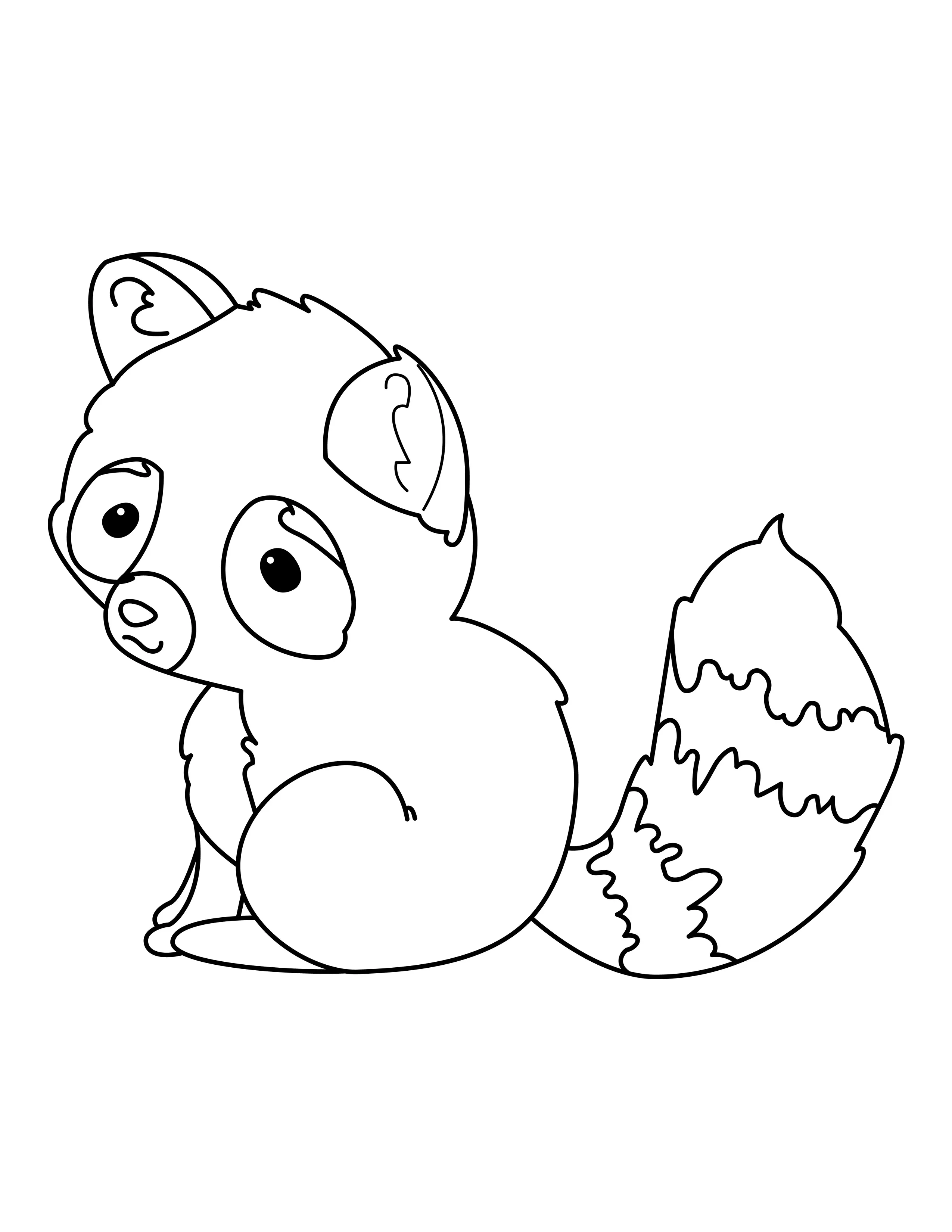 Raccoon printable