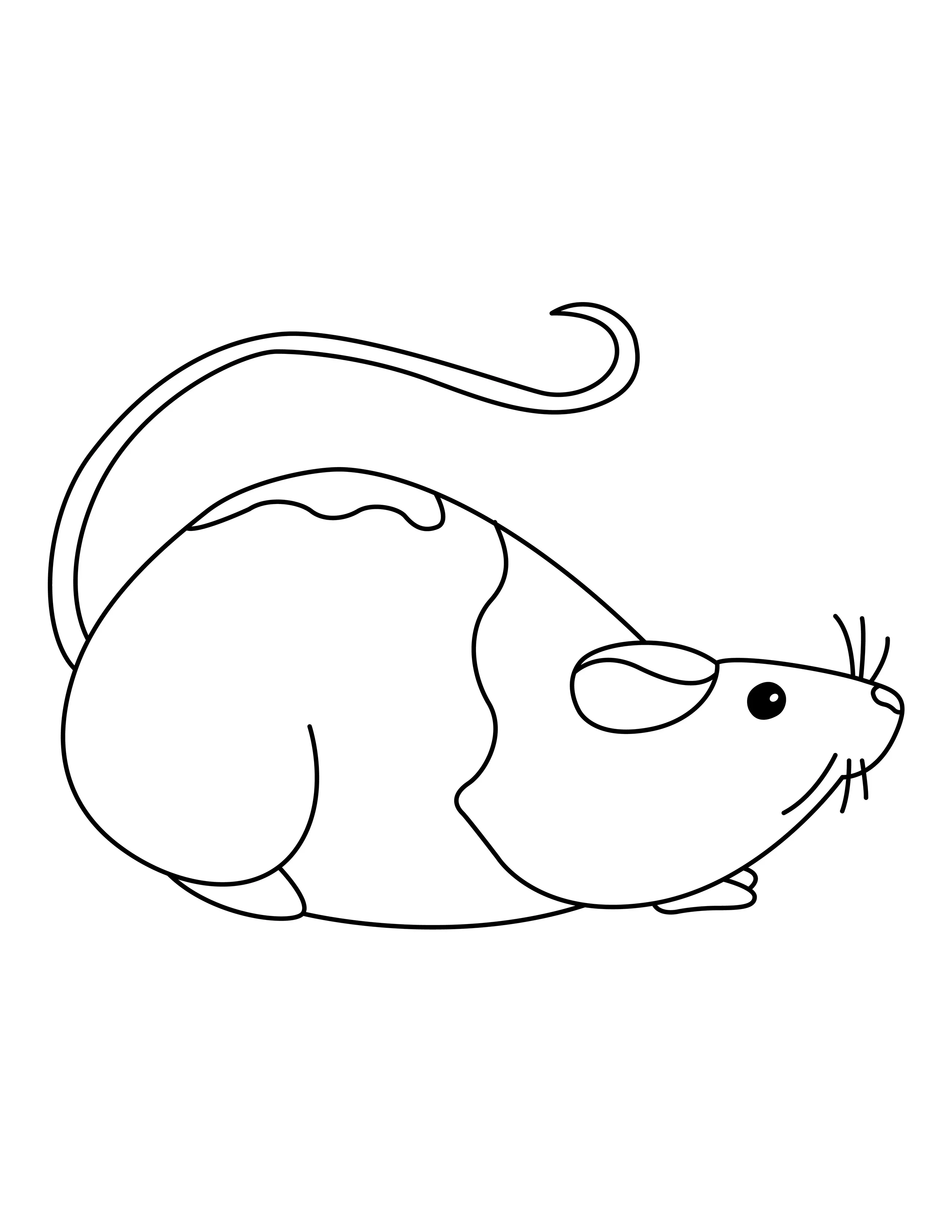Rat printable