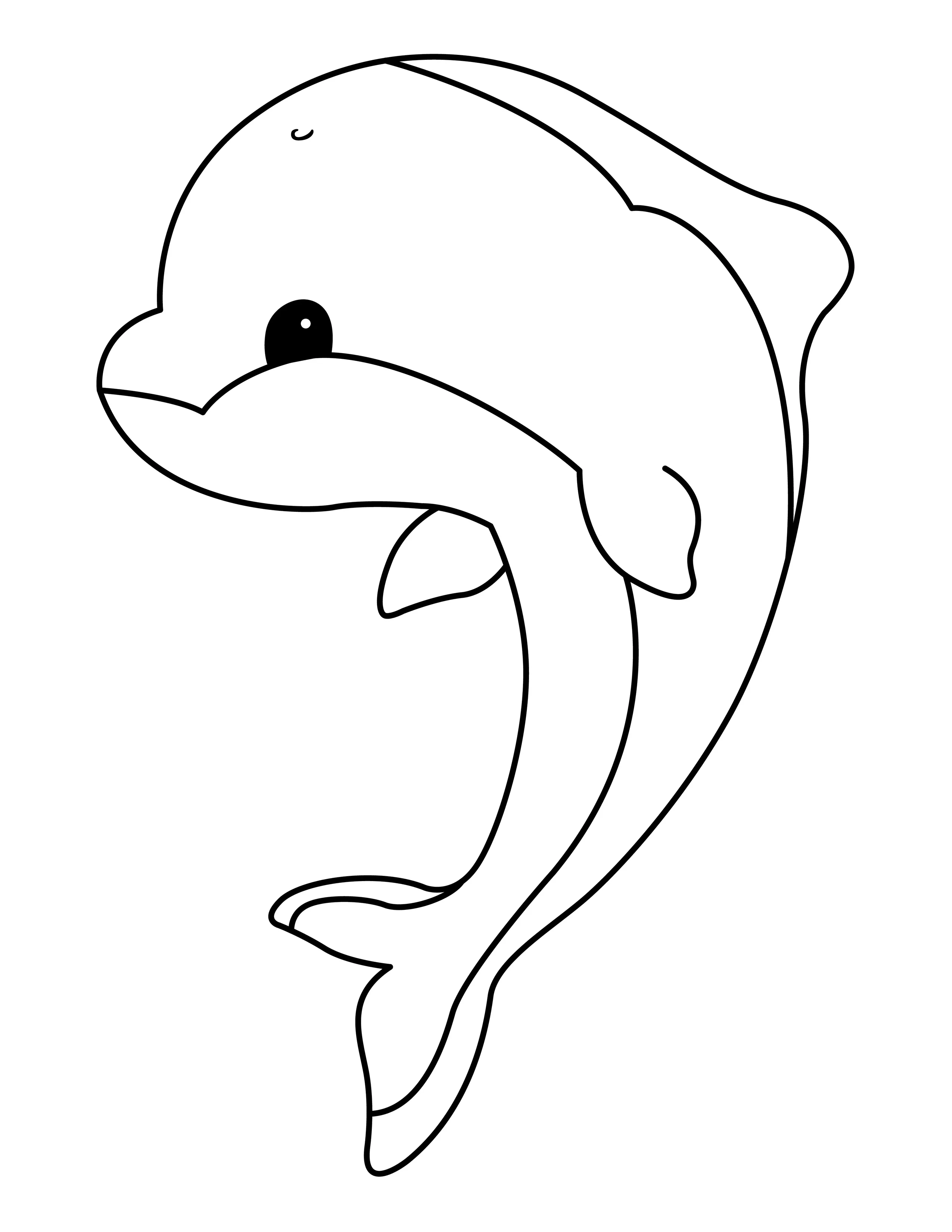 Dolphin printable