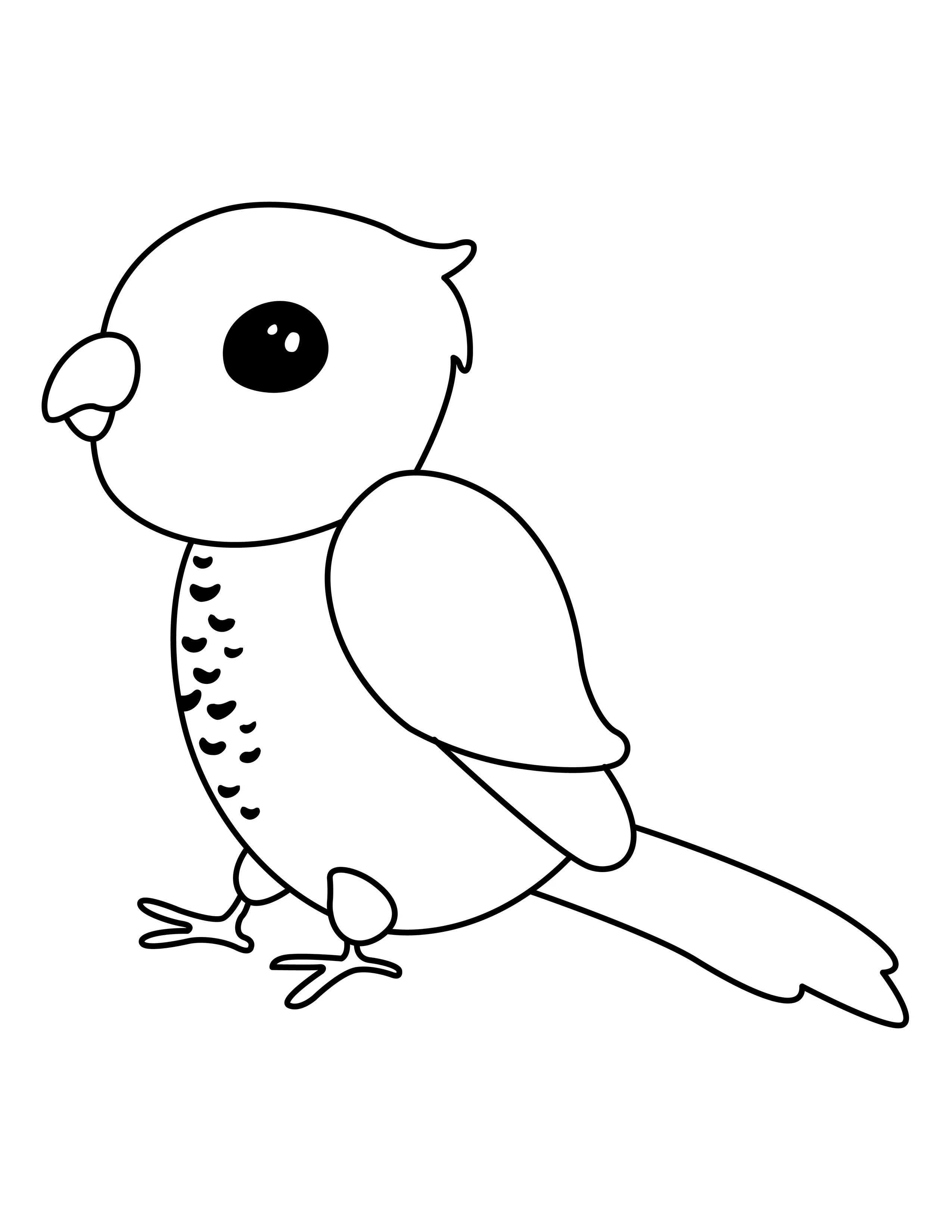 Parrot printable