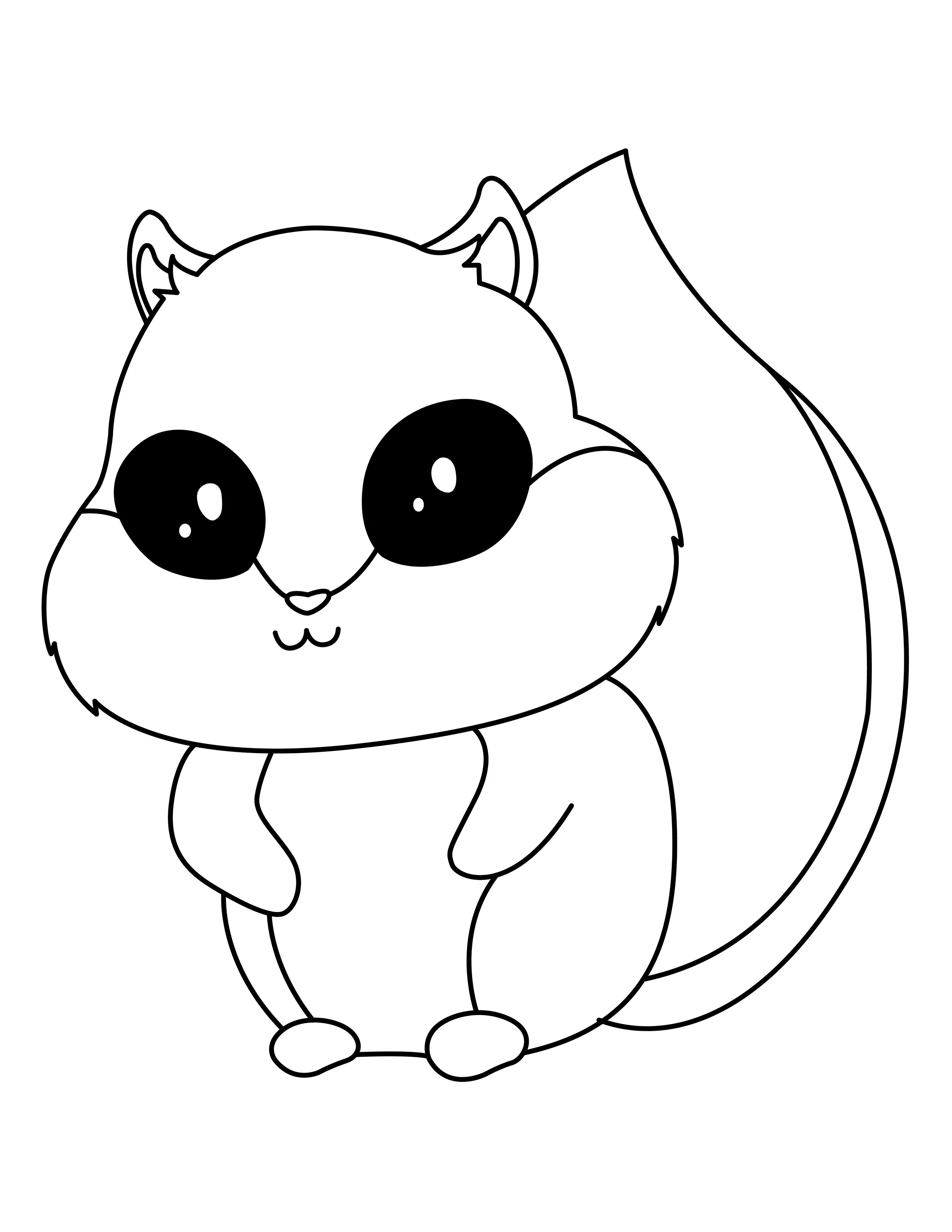 Squirrel printable